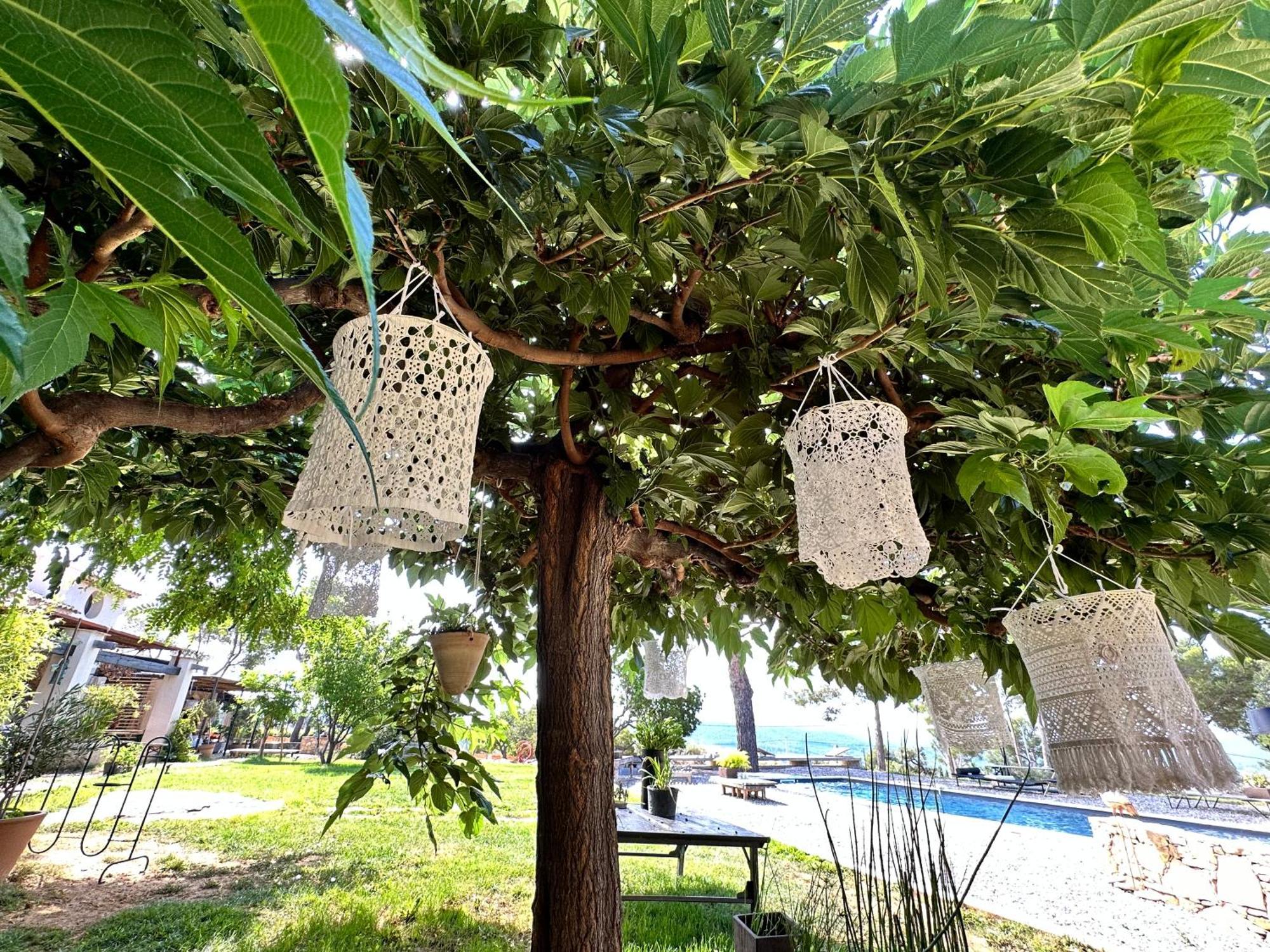 Simple Home 拉卡迪埃达聚 外观 照片